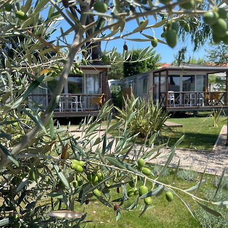 Hotel Camping Les Cigales Mandelieu Exterior foto