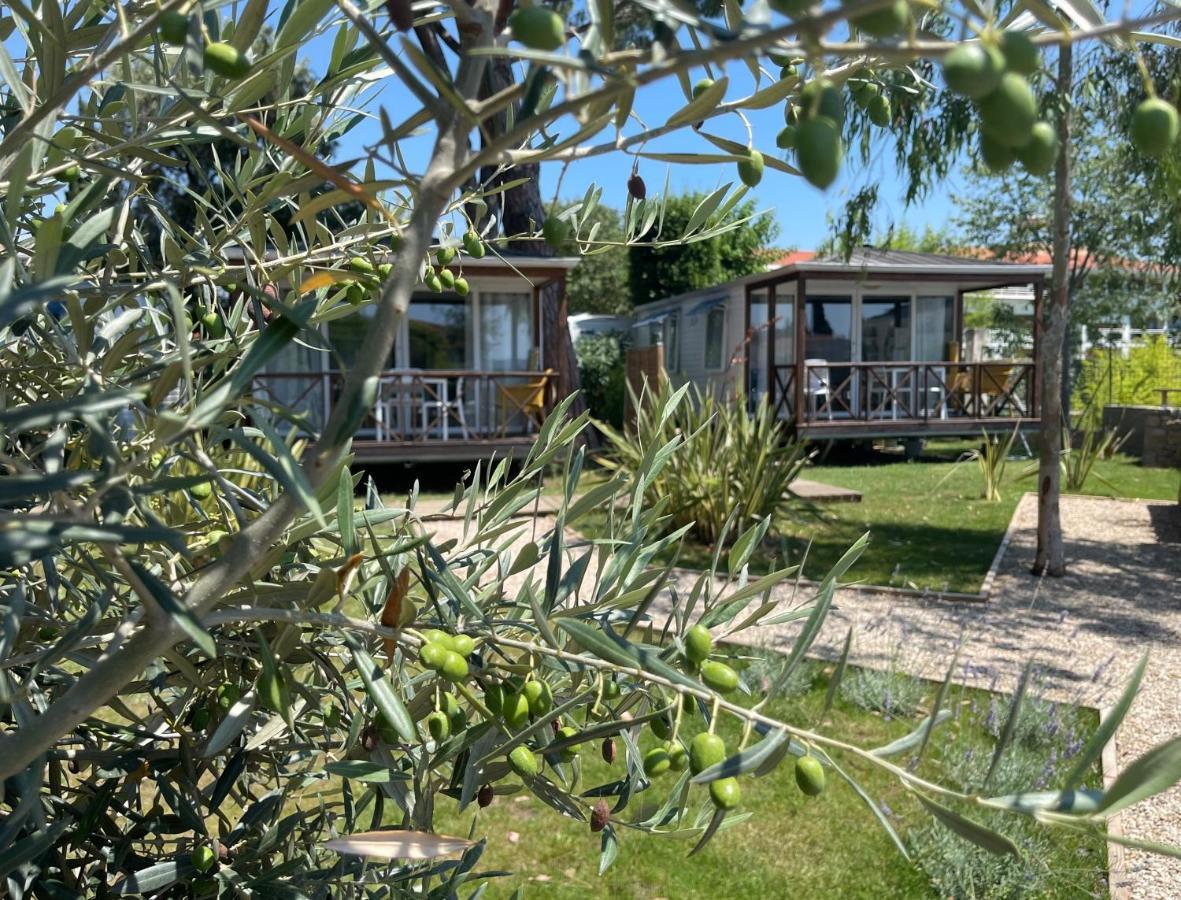 Hotel Camping Les Cigales Mandelieu Exterior foto