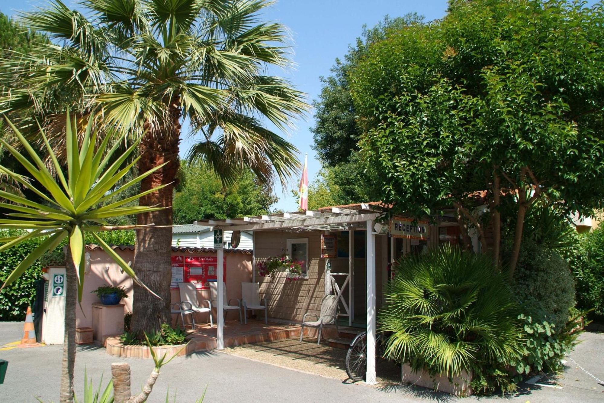 Hotel Camping Les Cigales Mandelieu Exterior foto